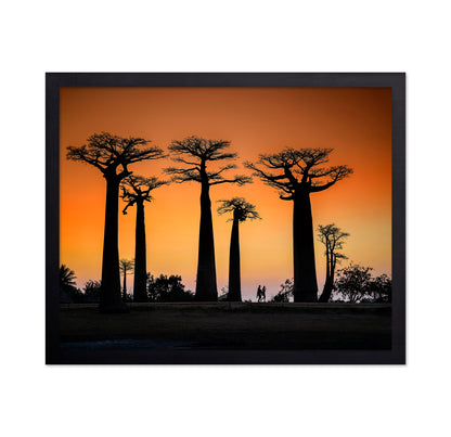 Baobab Sunset Walk