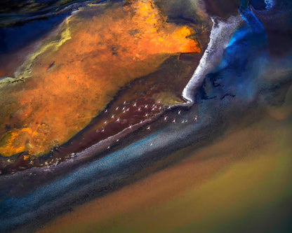 Flamingos Over Colorful Lake