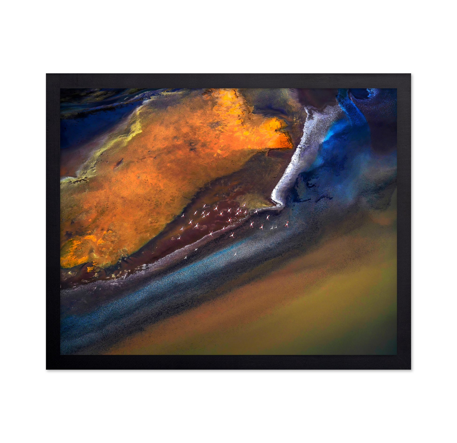 Flamingos Over Colorful Lake