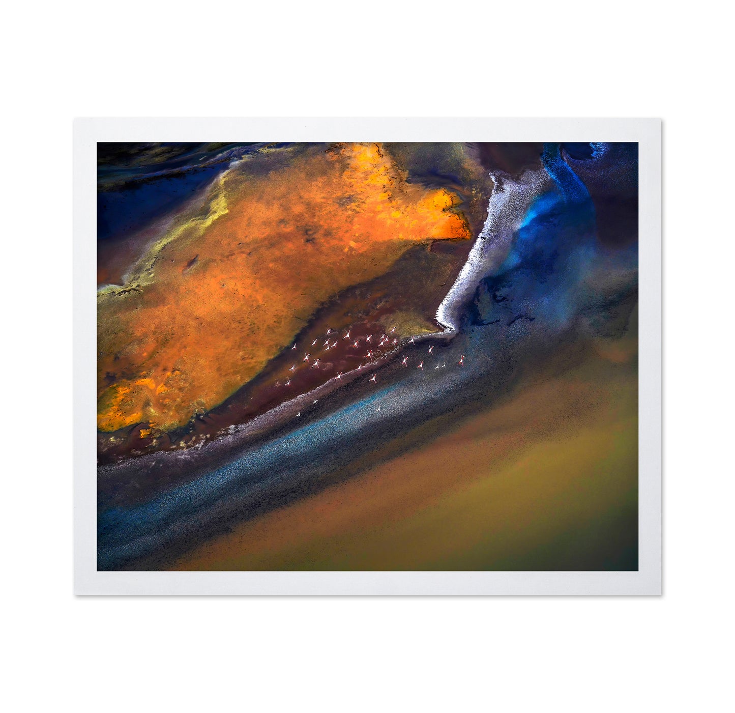 Flamingos Over Colorful Lake