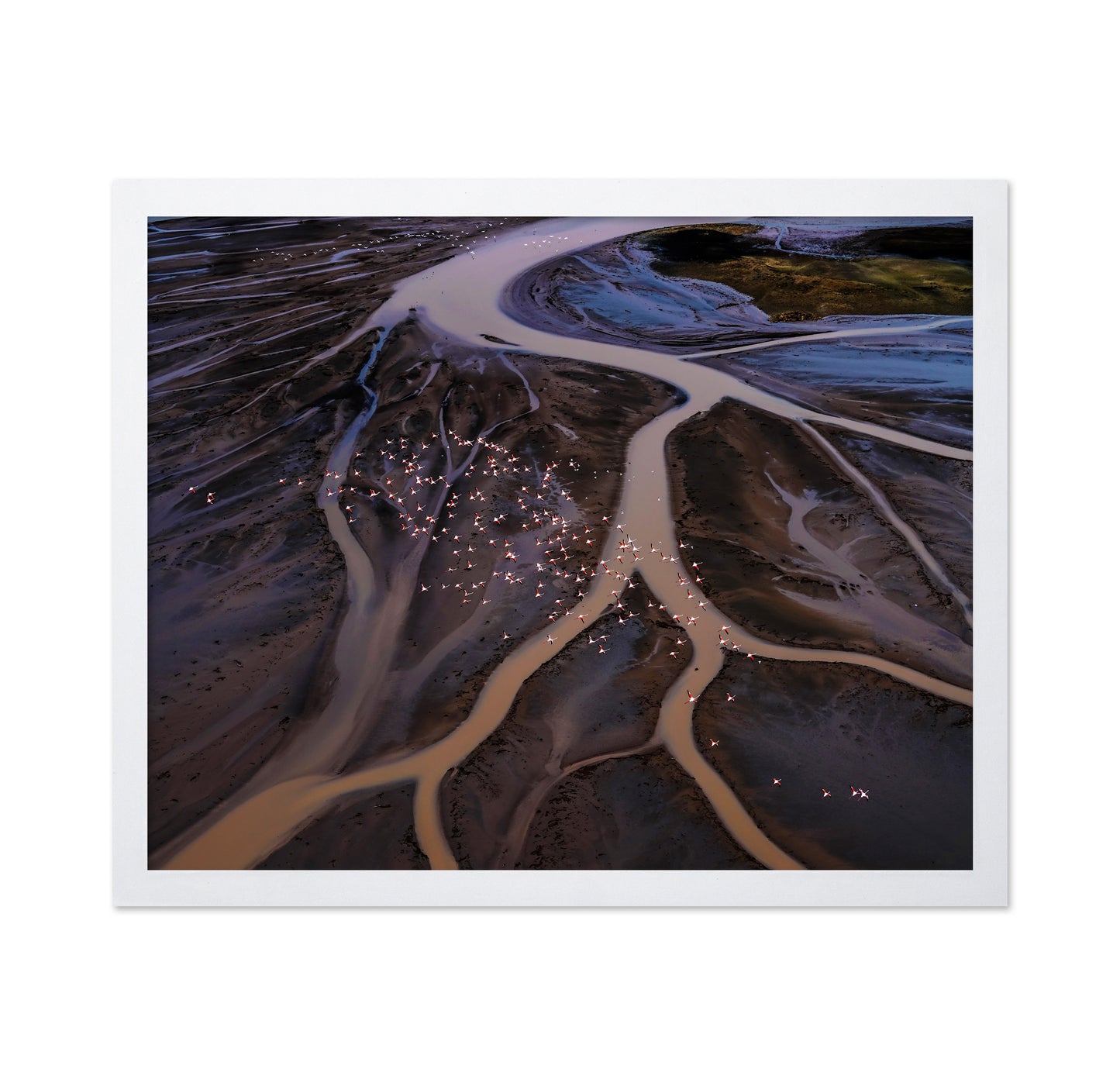 Flamingos Over Winding Waters