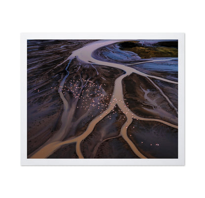 Flamingos Over Winding Waters