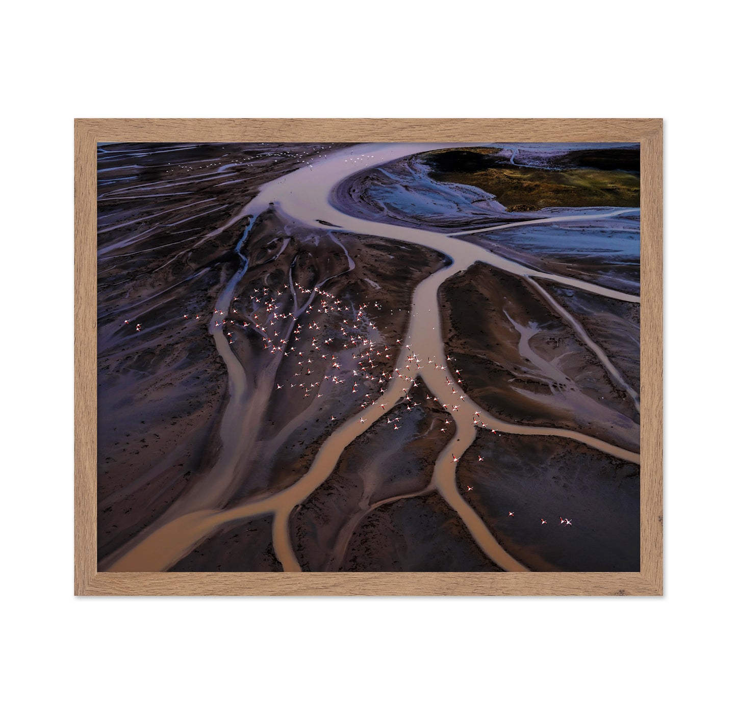 Flamingos Over Winding Waters