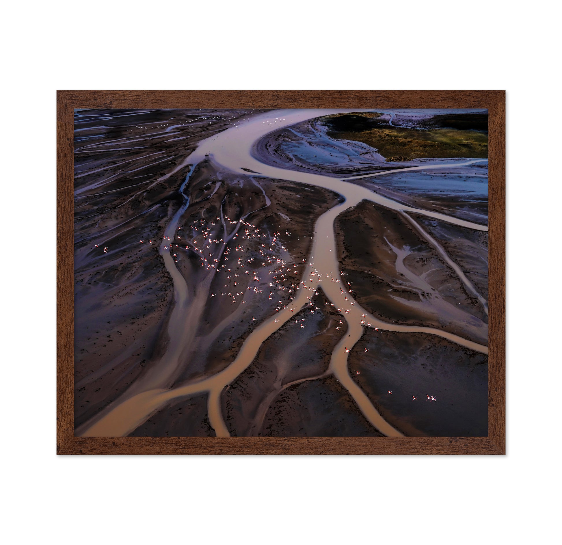 Flamingos Over Winding Waters
