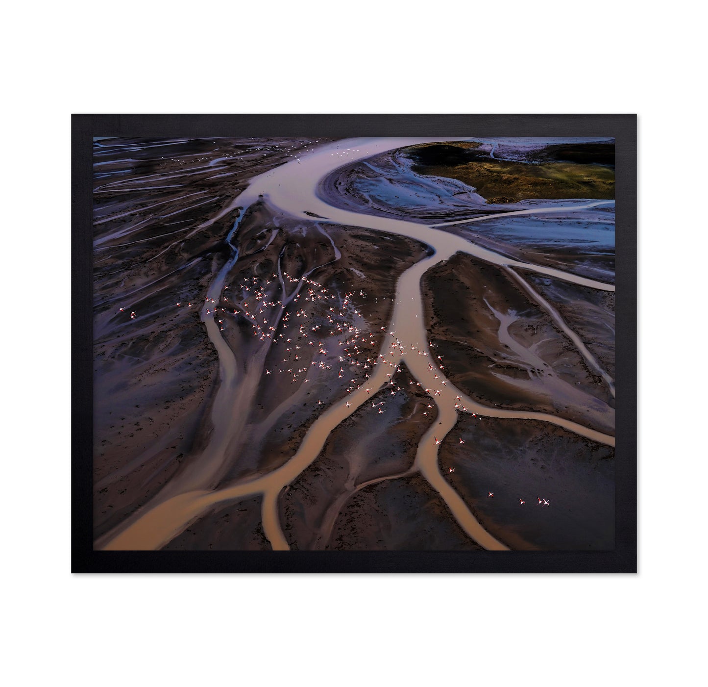 Flamingos Over Winding Waters