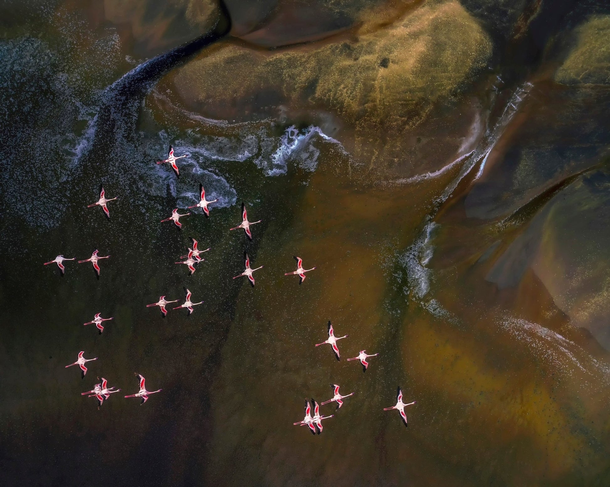 Flamingos Over Abstract Waters