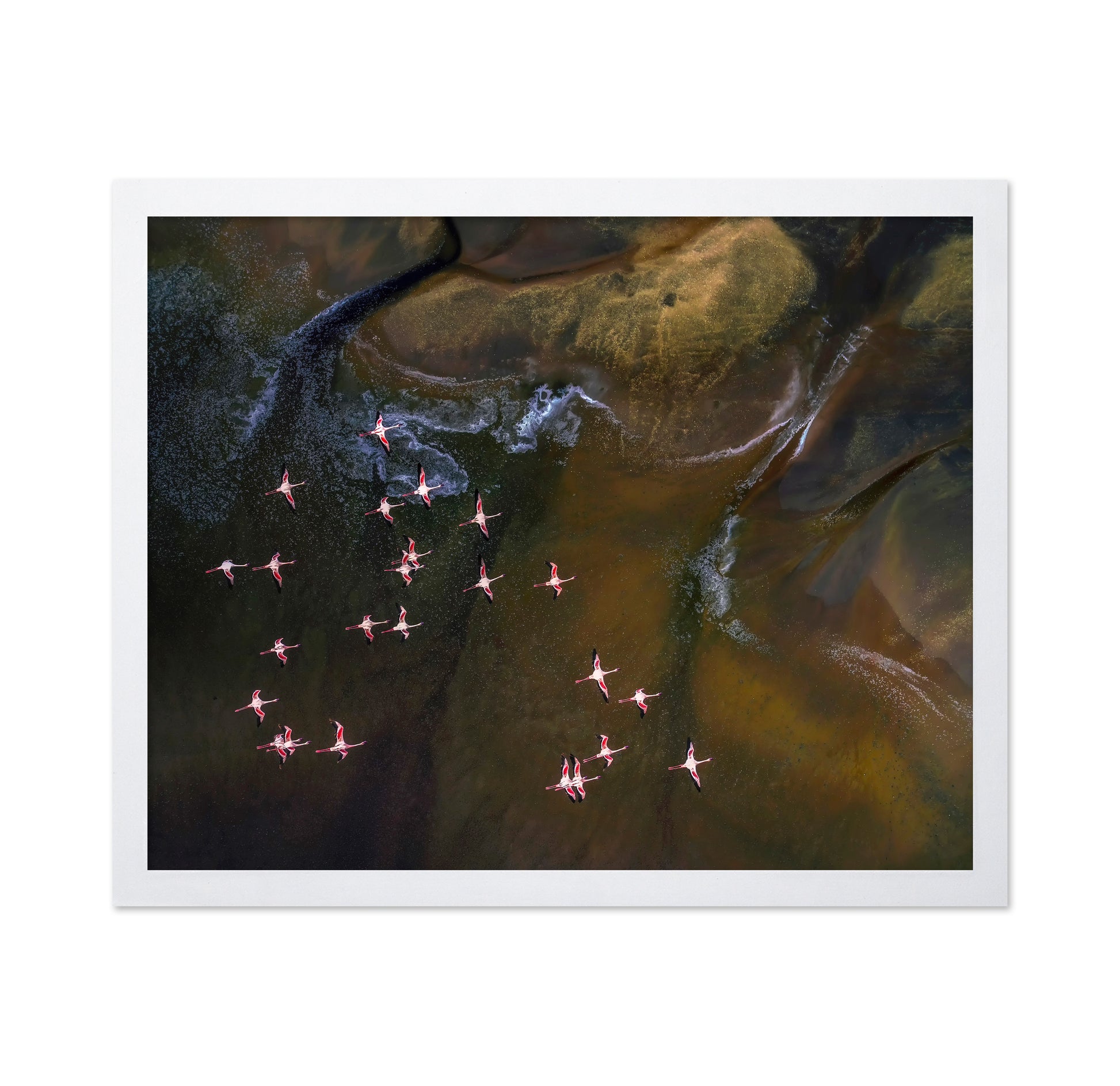 Flamingos Over Abstract Waters