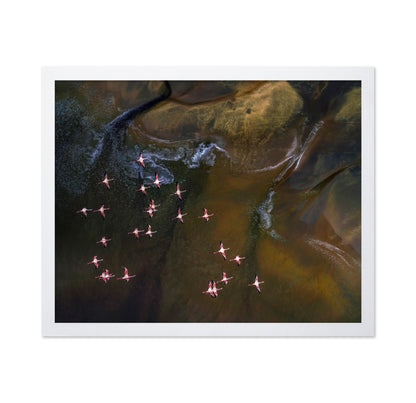 Flamingos Over Abstract Waters