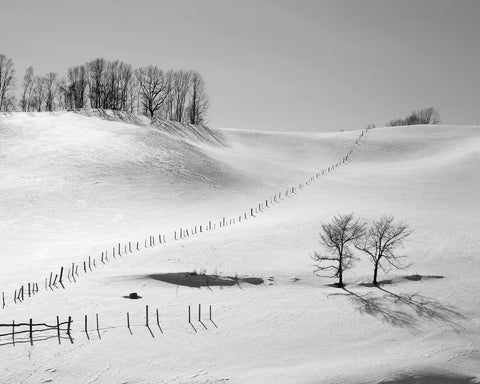 Winter Divide Landscape