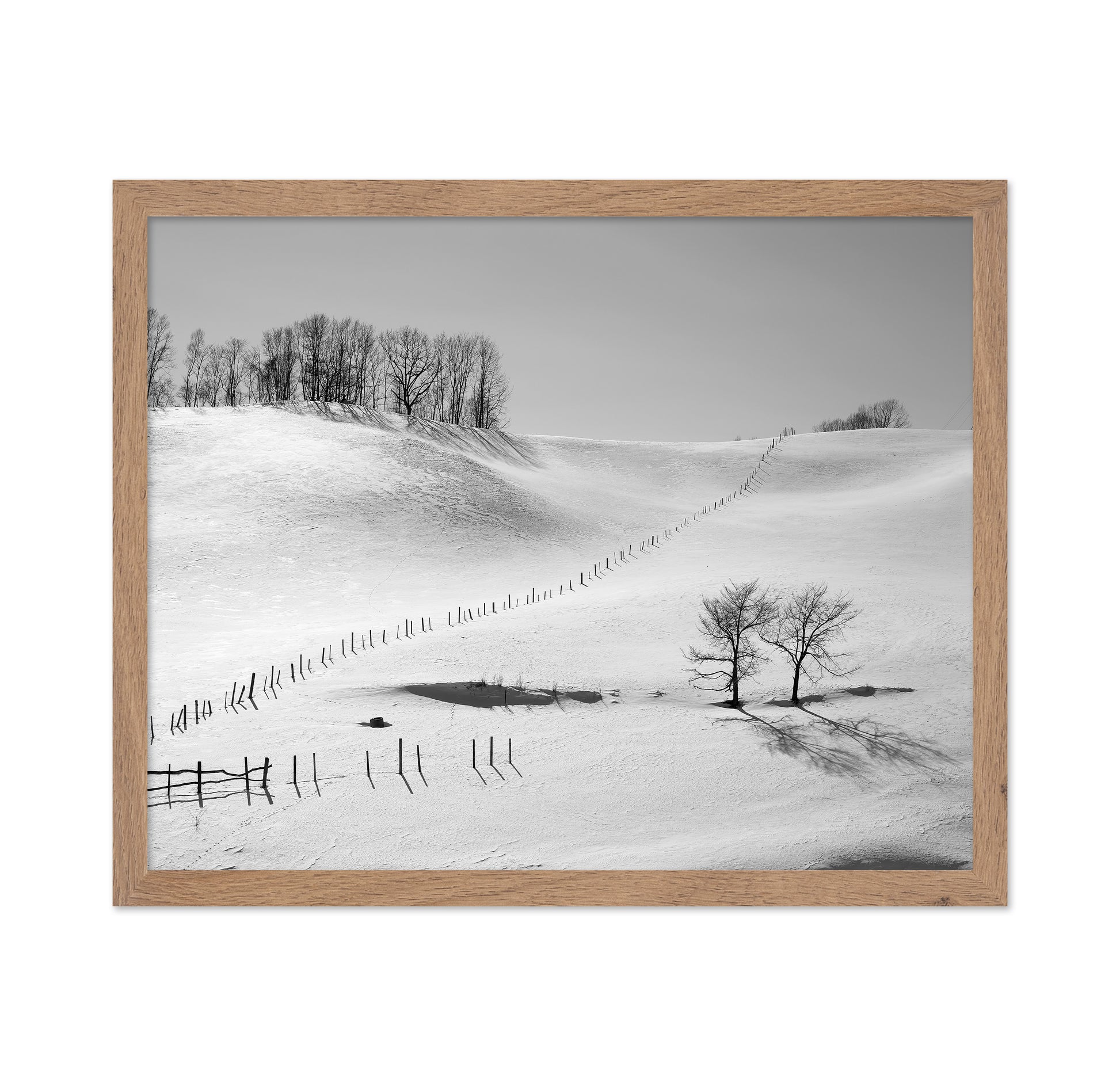 Winter Divide Landscape