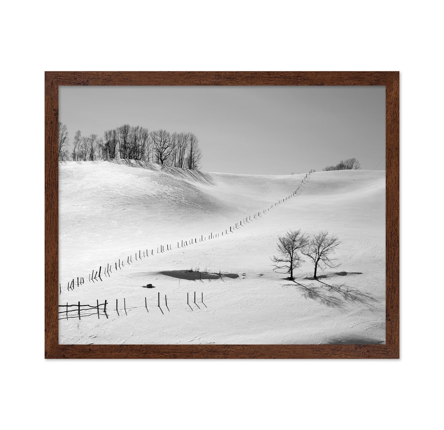 Winter Divide Landscape