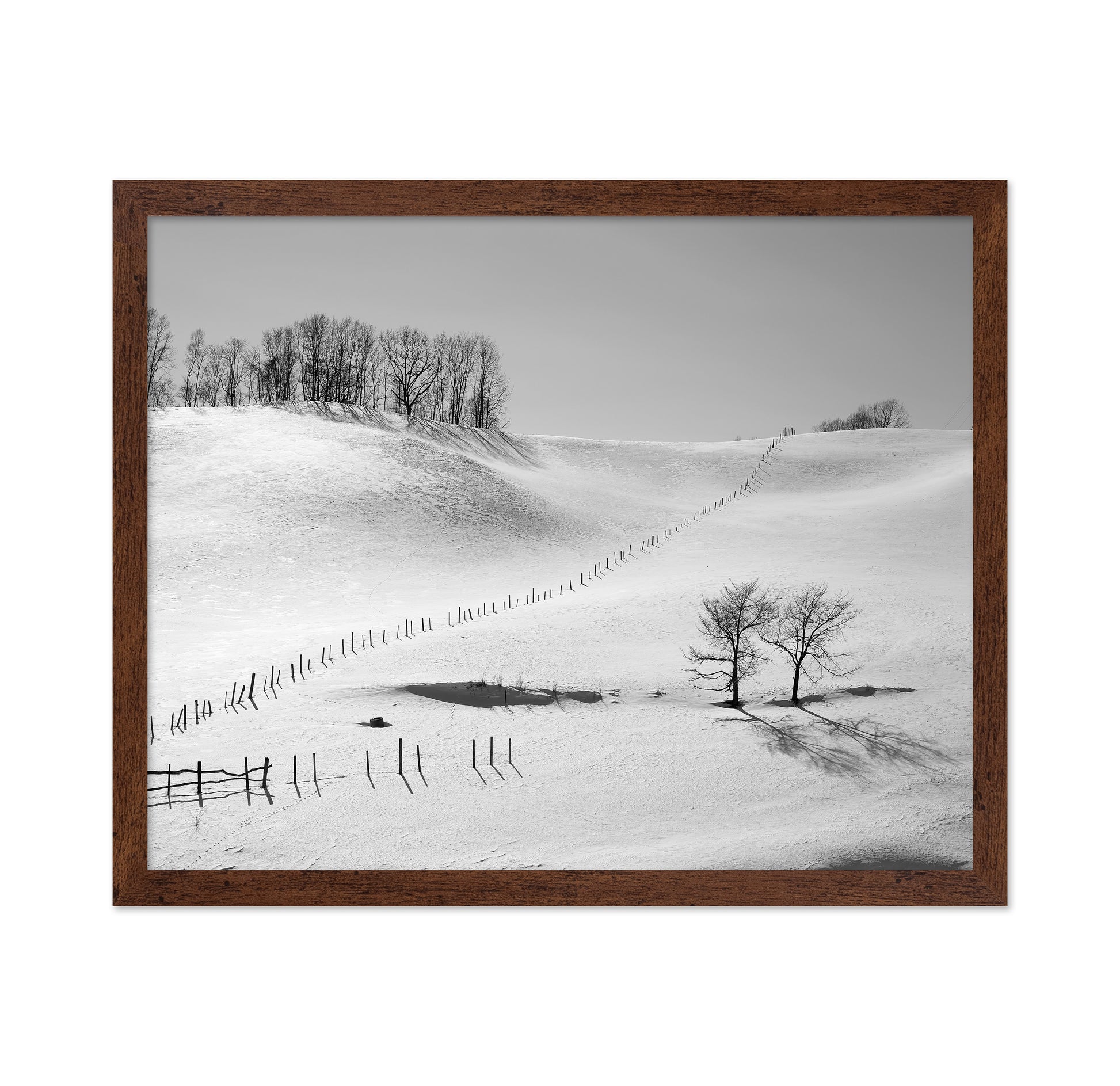 Winter Divide Landscape