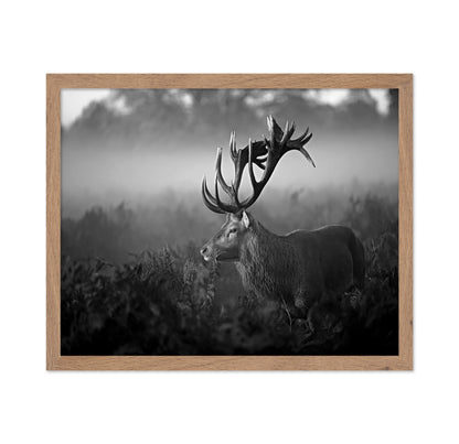 Majestic Stag in Mist
