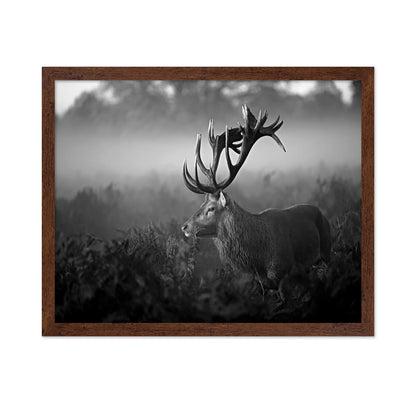 Majestic Stag in Mist