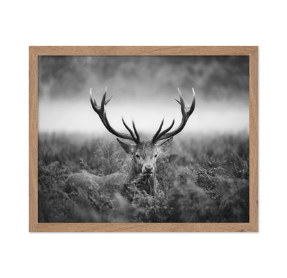 Stag Portrait in Mist