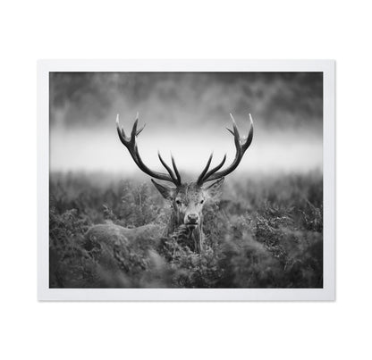 Stag Portrait in Mist