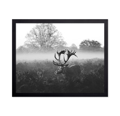 Stag in Foggy Meadow