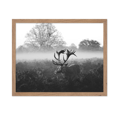 Stag in Foggy Meadow