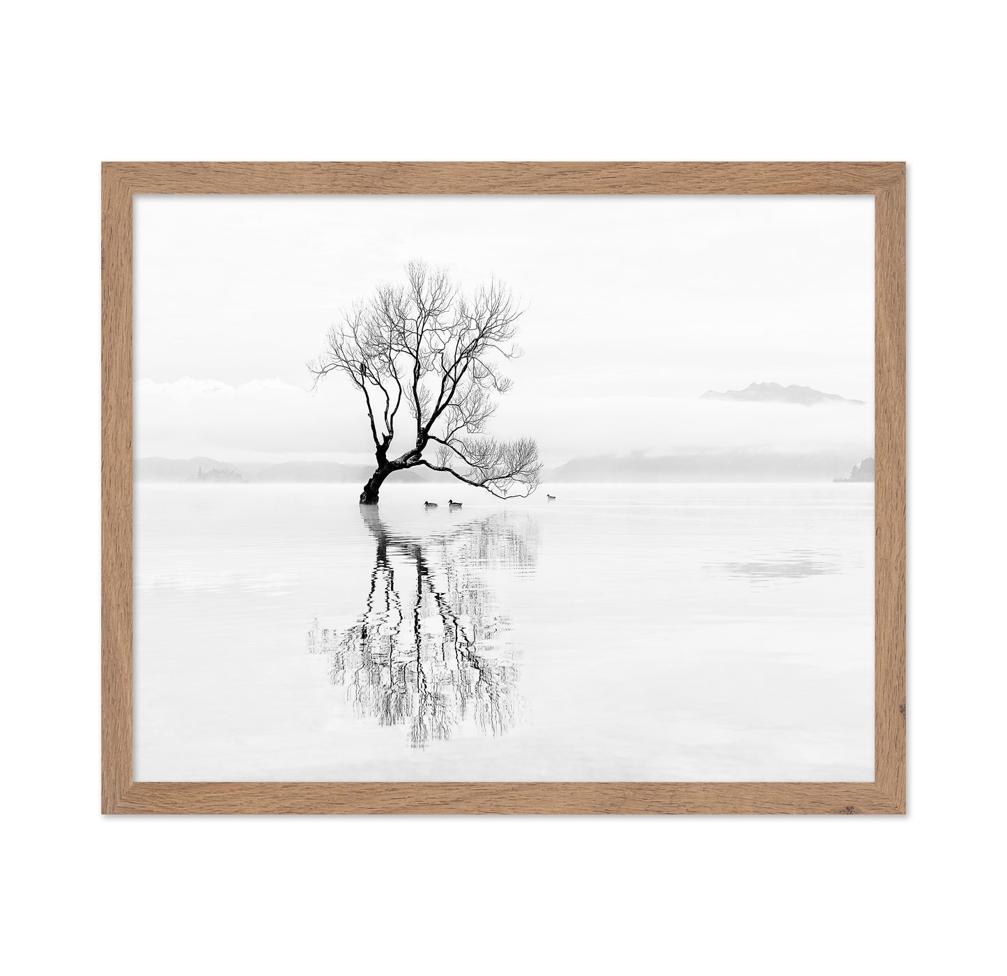 Lone Tree with Ducks Reflection