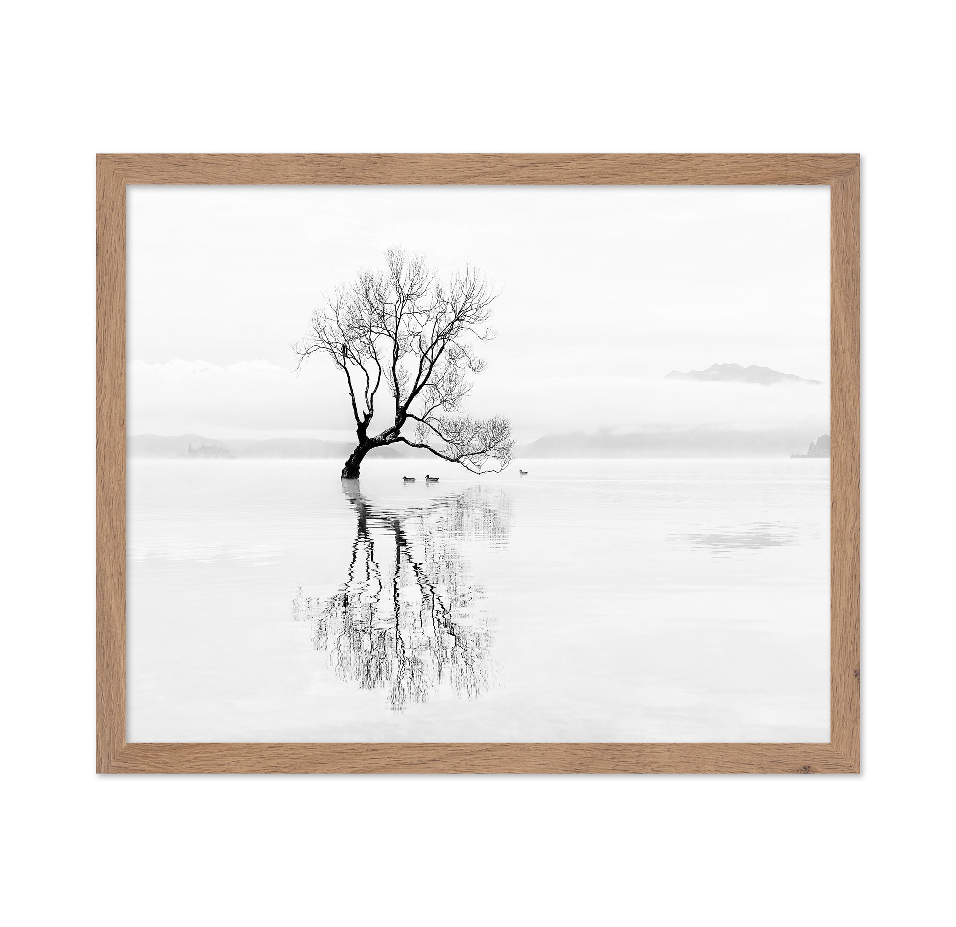 Lone Tree with Ducks Reflection