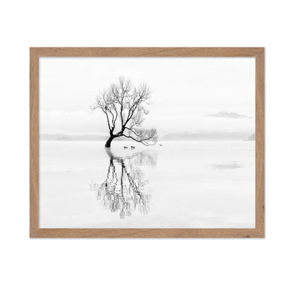Lone Tree with Ducks Reflection
