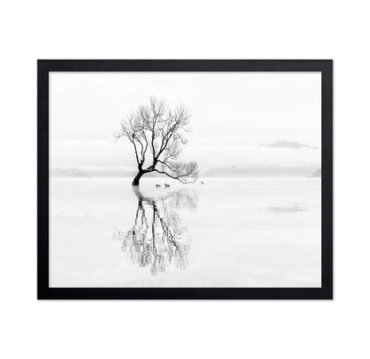 Lone Tree with Ducks Reflection