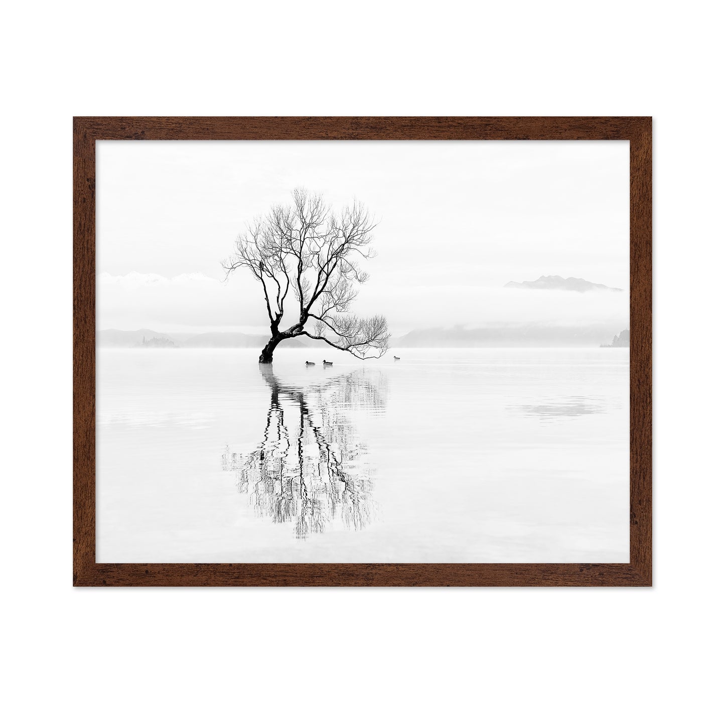 Lone Tree with Ducks Reflection