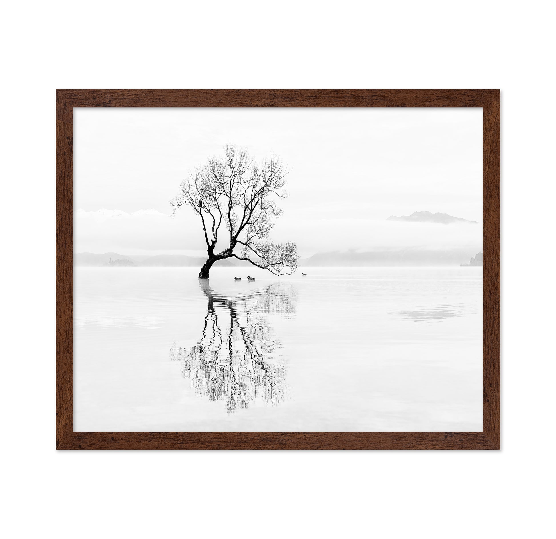 Lone Tree with Ducks Reflection