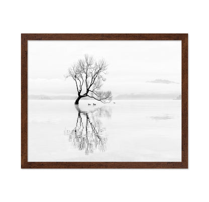 Lone Tree with Ducks Reflection