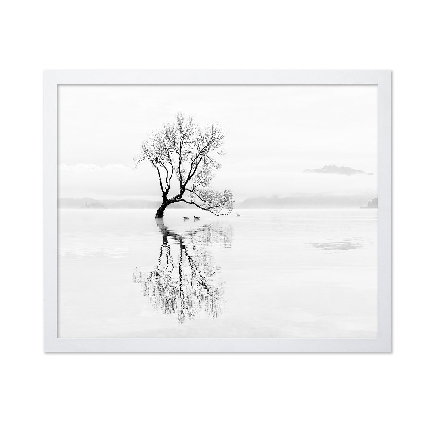 Lone Tree with Ducks Reflection