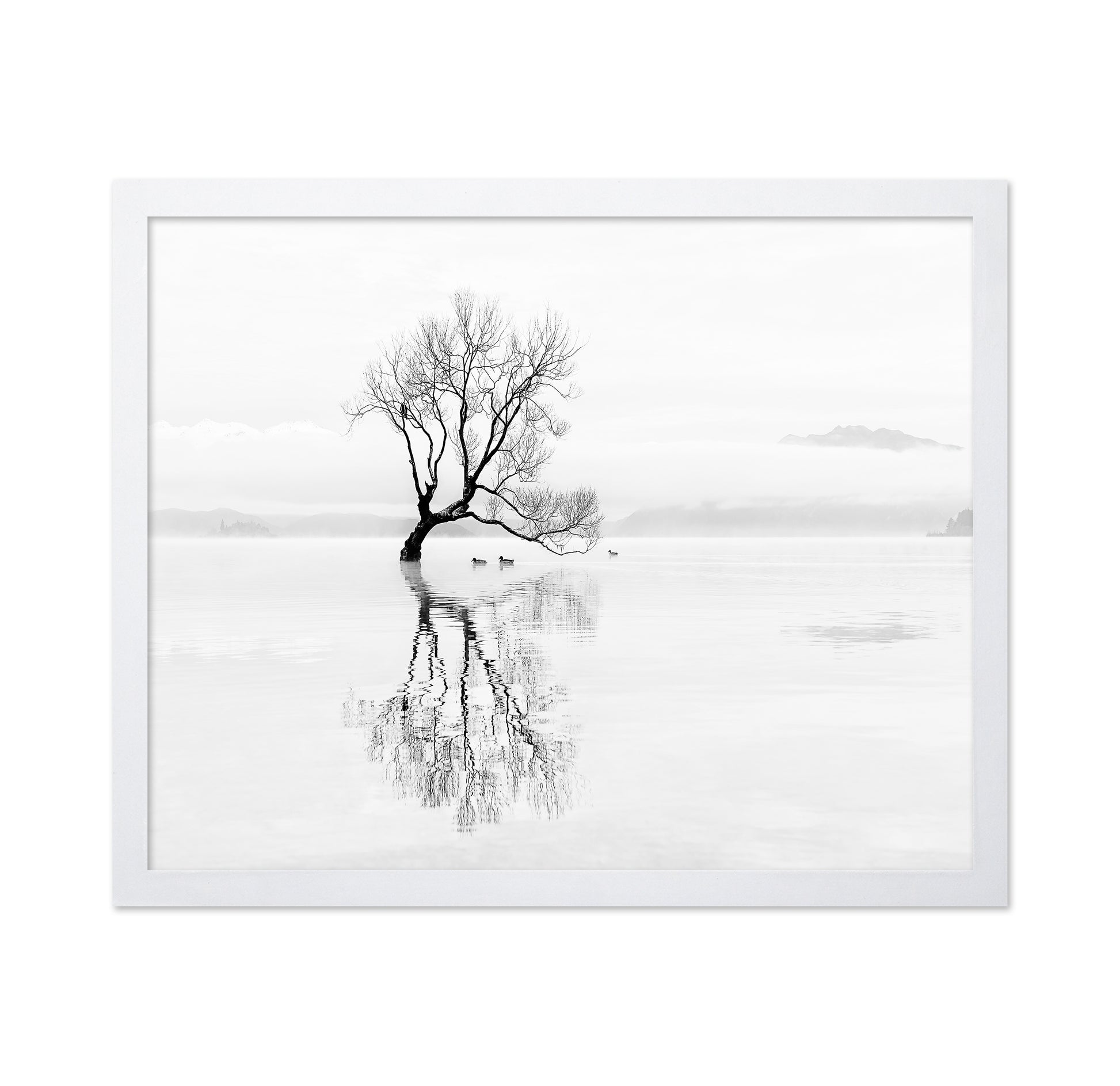 Lone Tree with Ducks Reflection