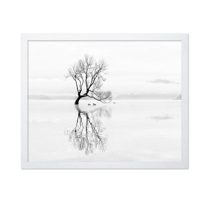 Lone Tree with Ducks Reflection