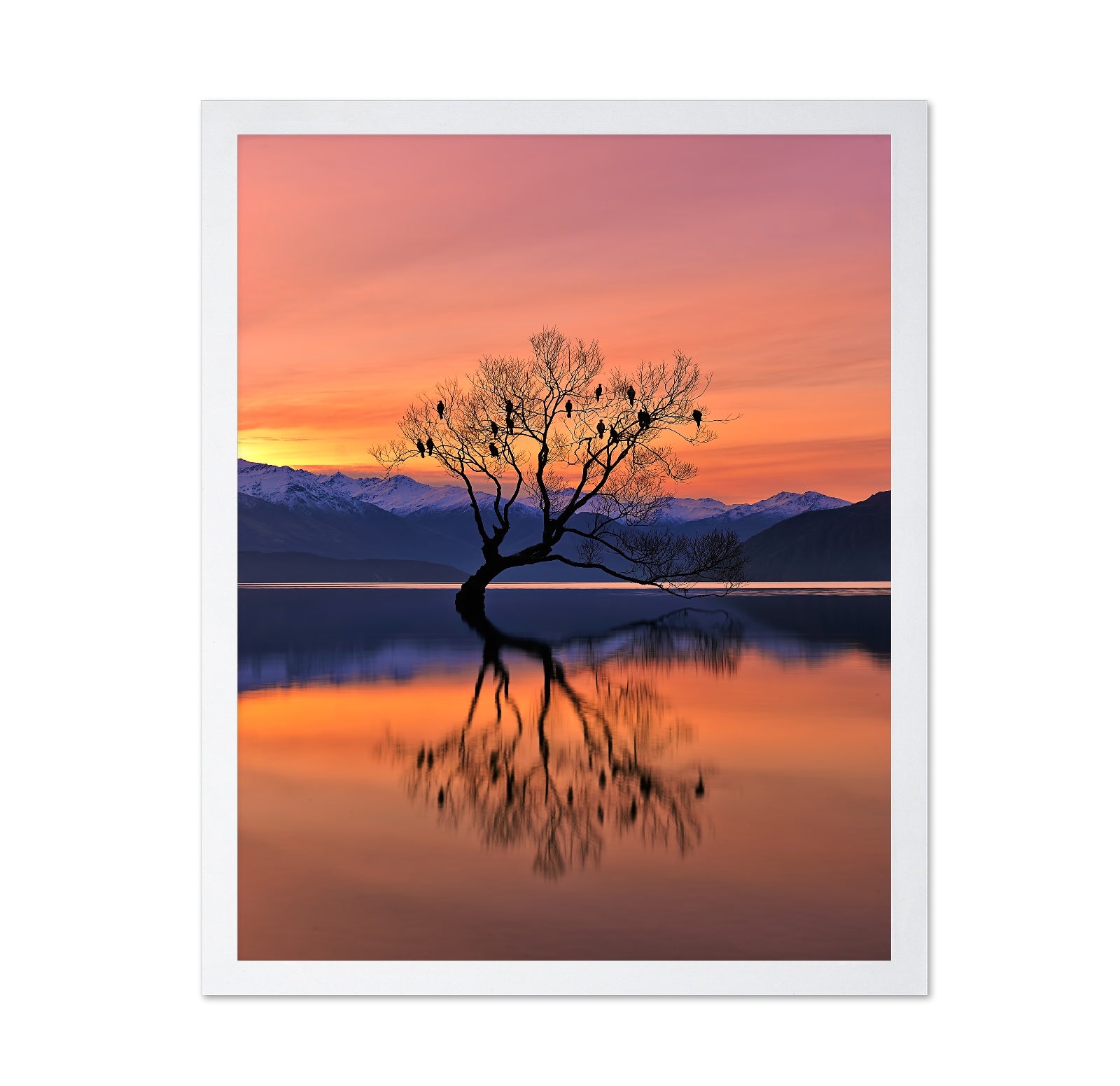 Lone Tree at Sunset Reflection