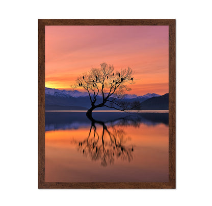 Lone Tree at Sunset Reflection
