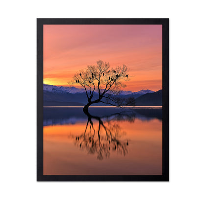 Lone Tree at Sunset Reflection