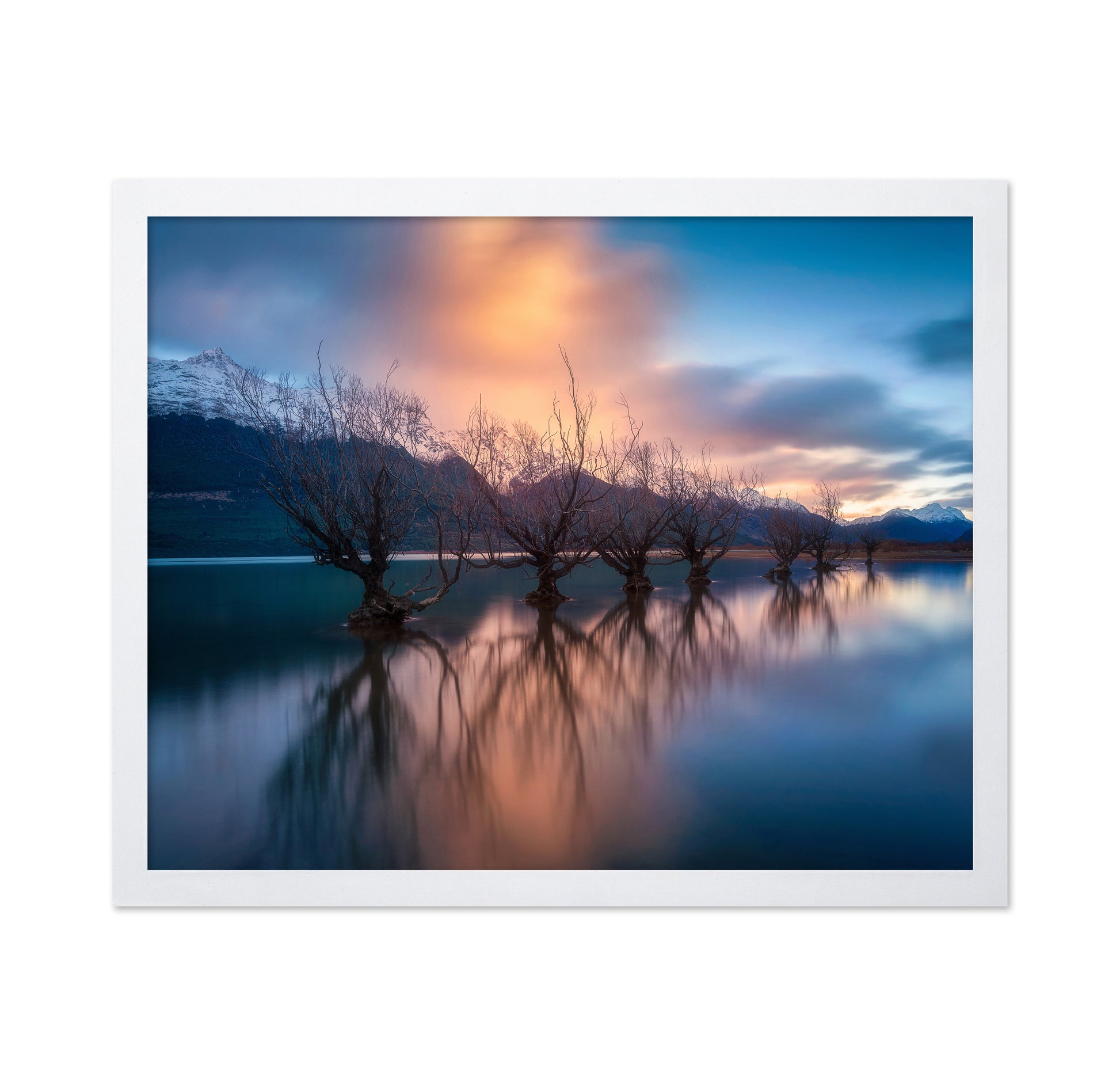 Glenorchy Trees