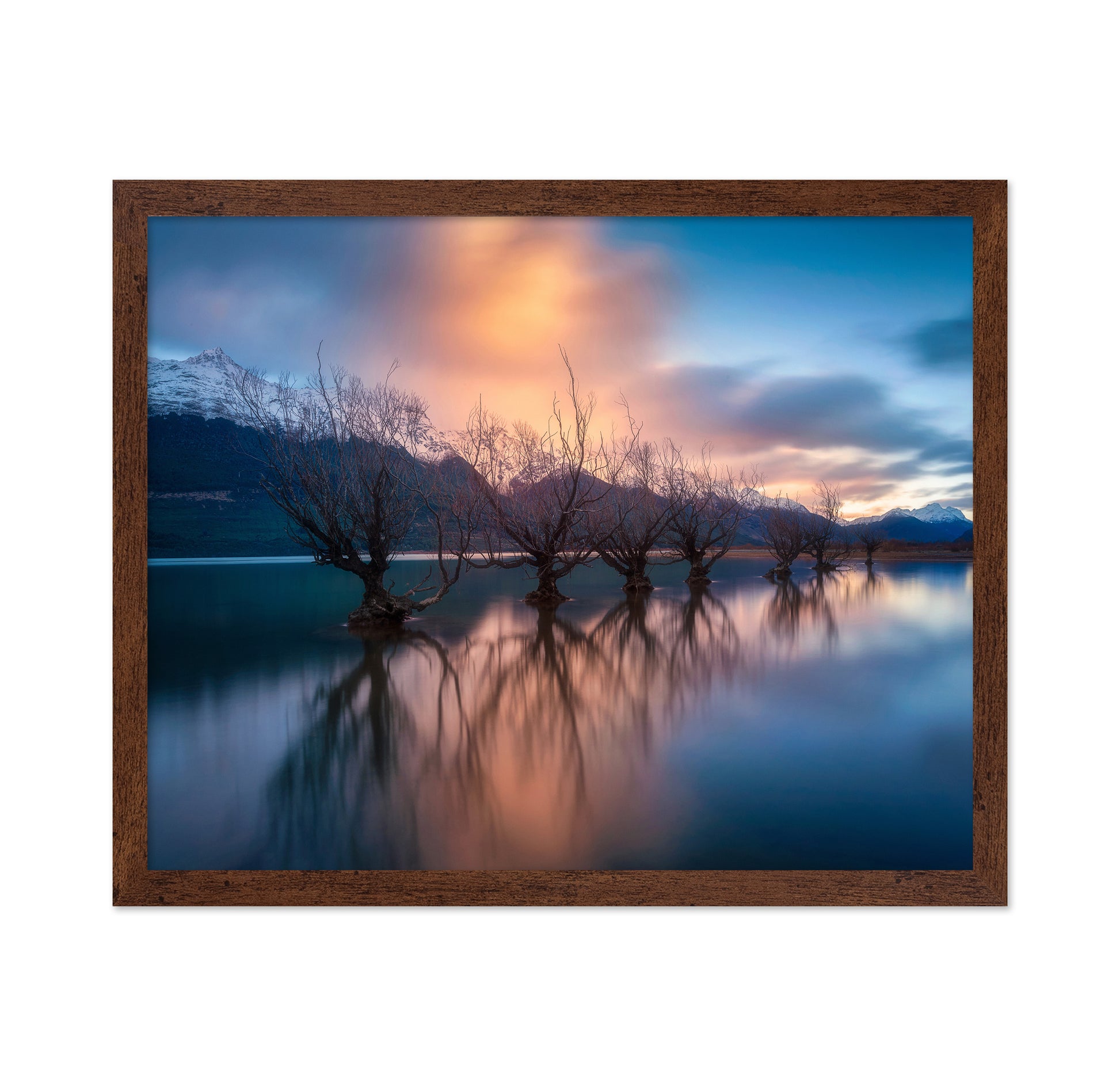 Glenorchy Trees
