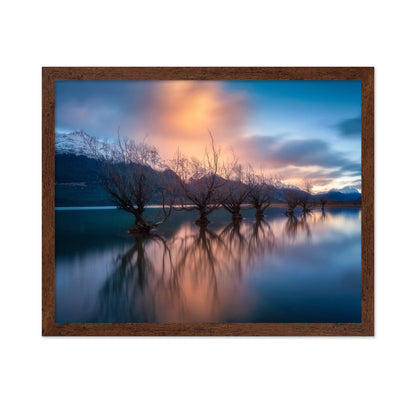 Glenorchy Trees