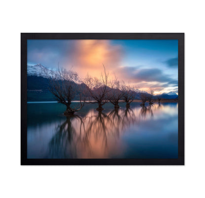 Glenorchy Trees