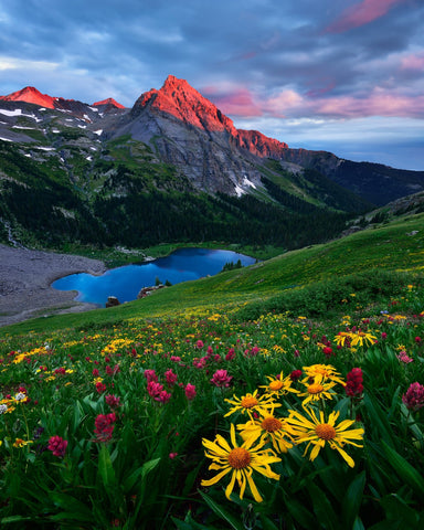 Colorado Wildflowers and Mountain Lake