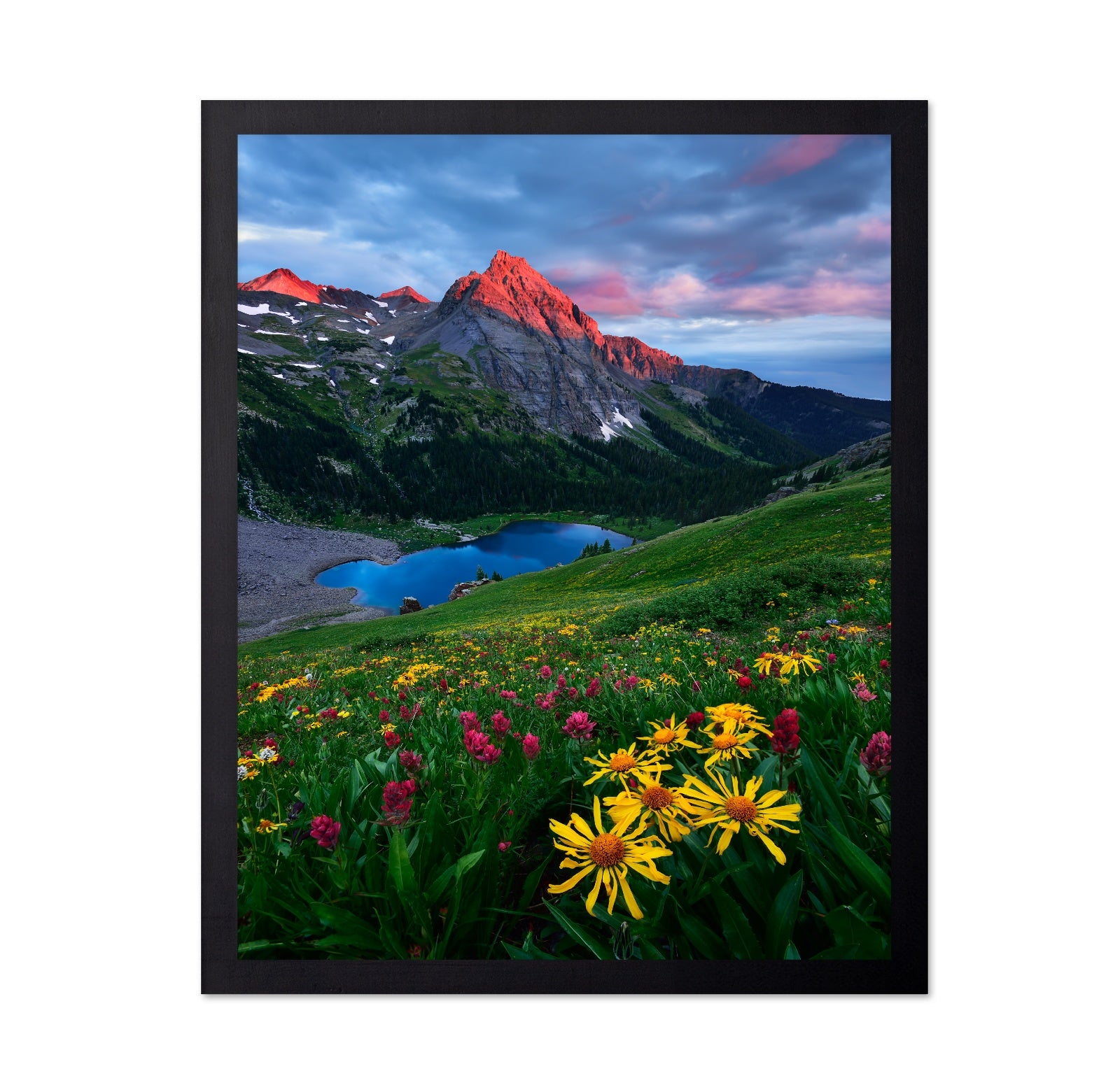 Colorado Wildflowers and Mountain Lake