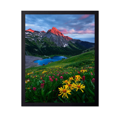 Colorado Wildflowers and Mountain Lake
