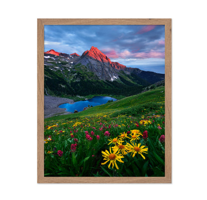 Colorado Wildflowers and Mountain Lake