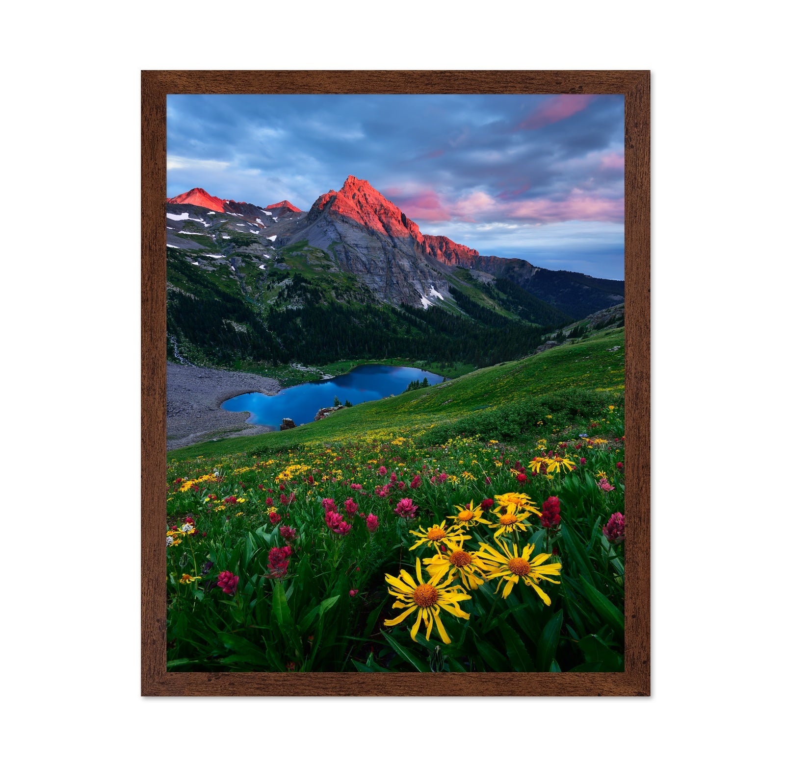 Colorado Wildflowers and Mountain Lake