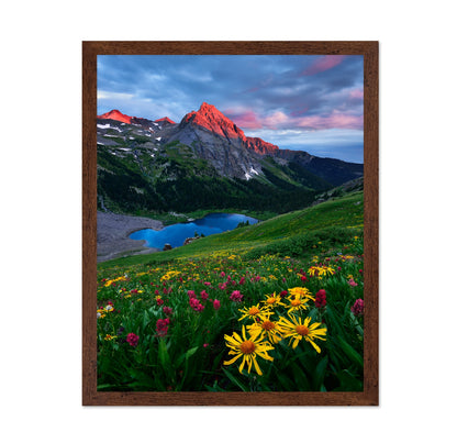 Colorado Wildflowers and Mountain Lake