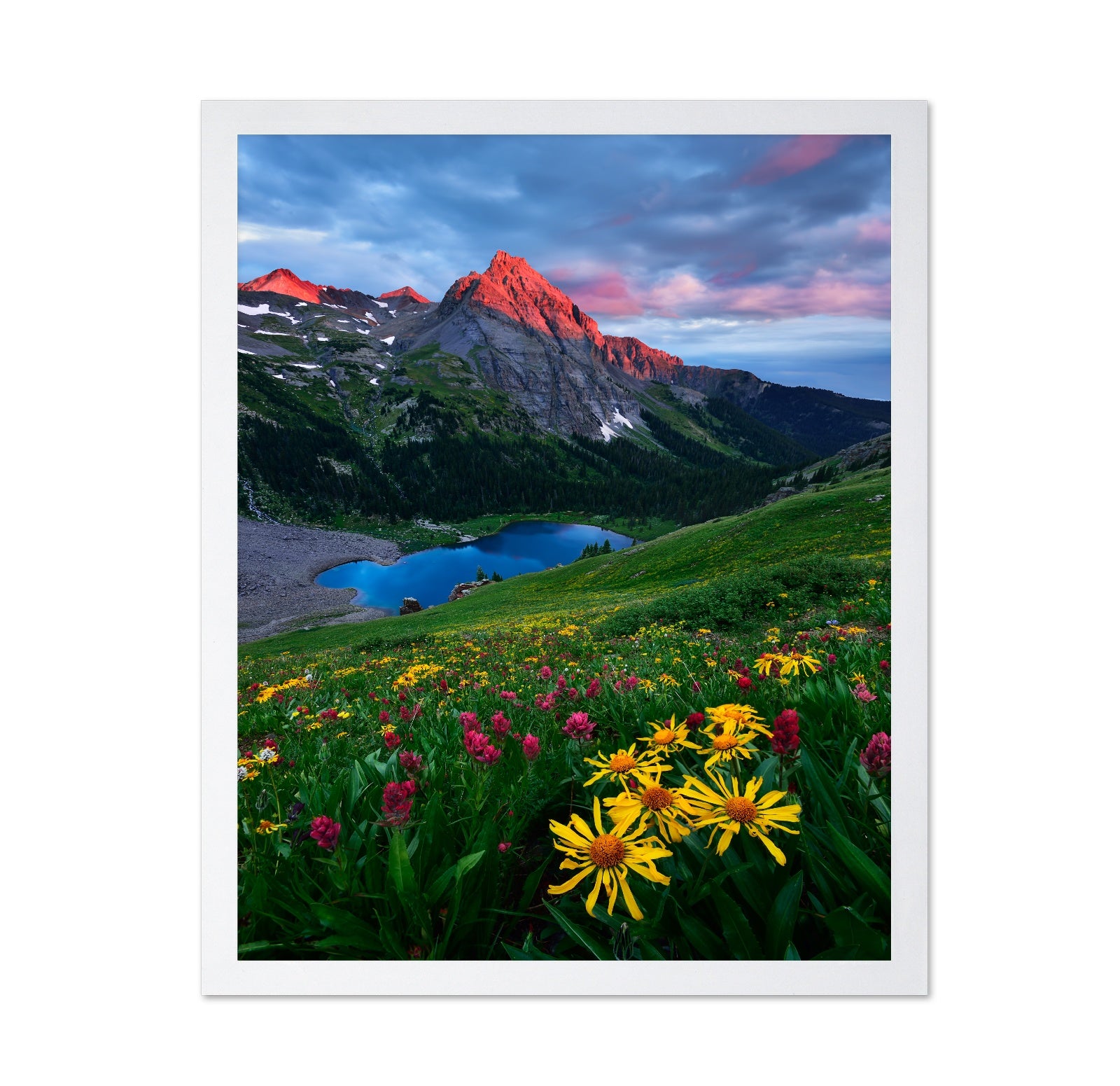 Colorado Wildflowers and Mountain Lake