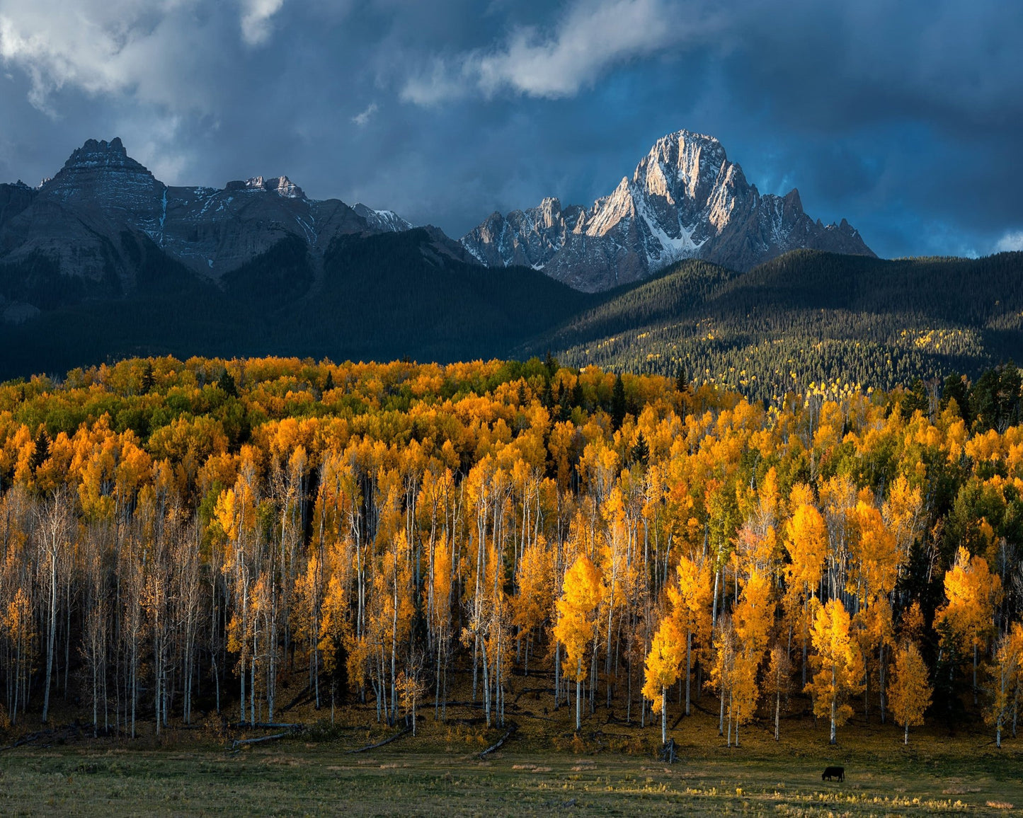 Mt Sneffels Autumn Colors