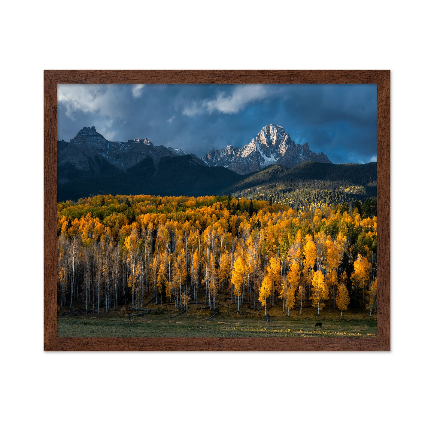Mt Sneffels Autumn Colors
