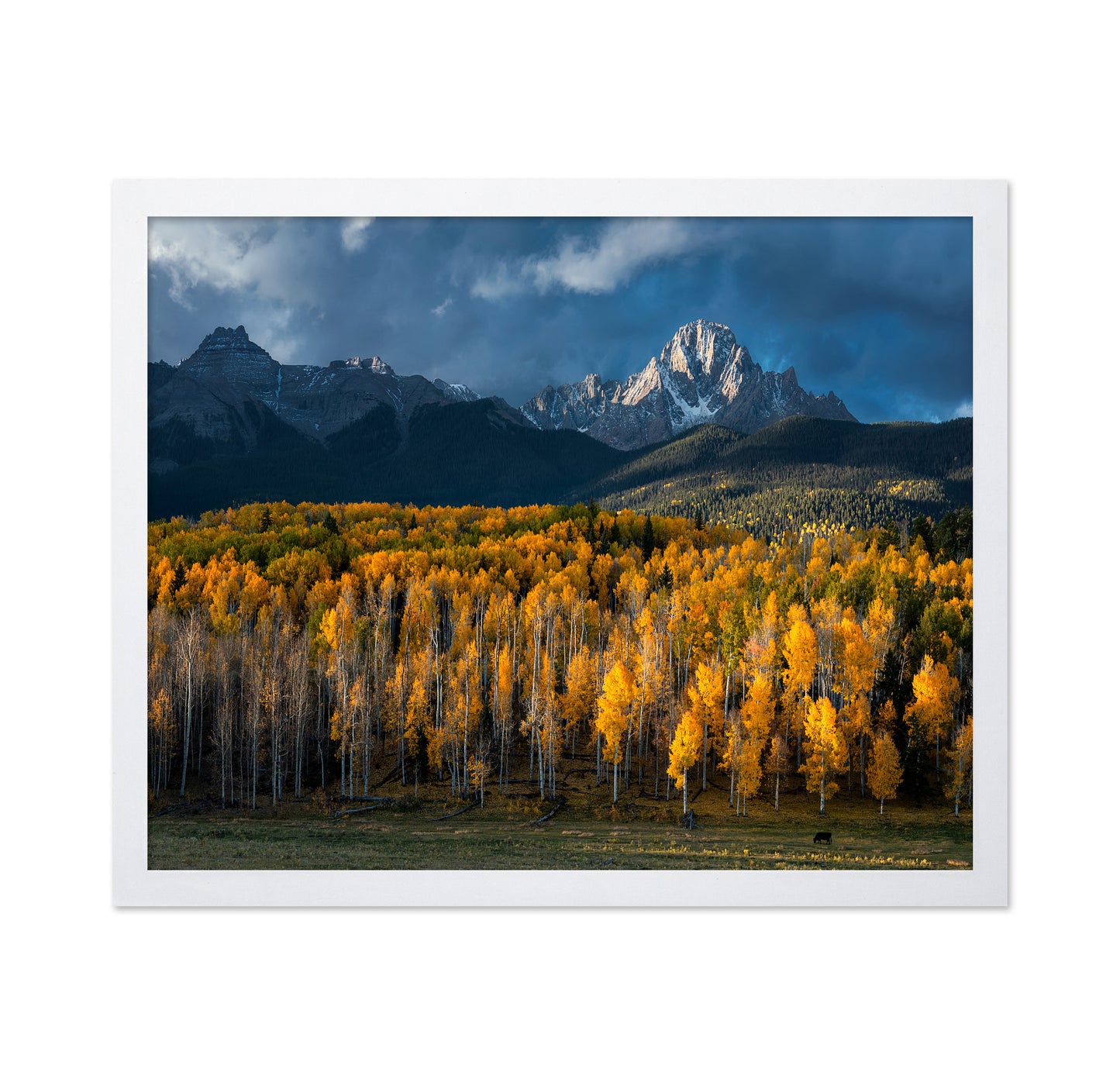 Mt Sneffels Autumn Colors