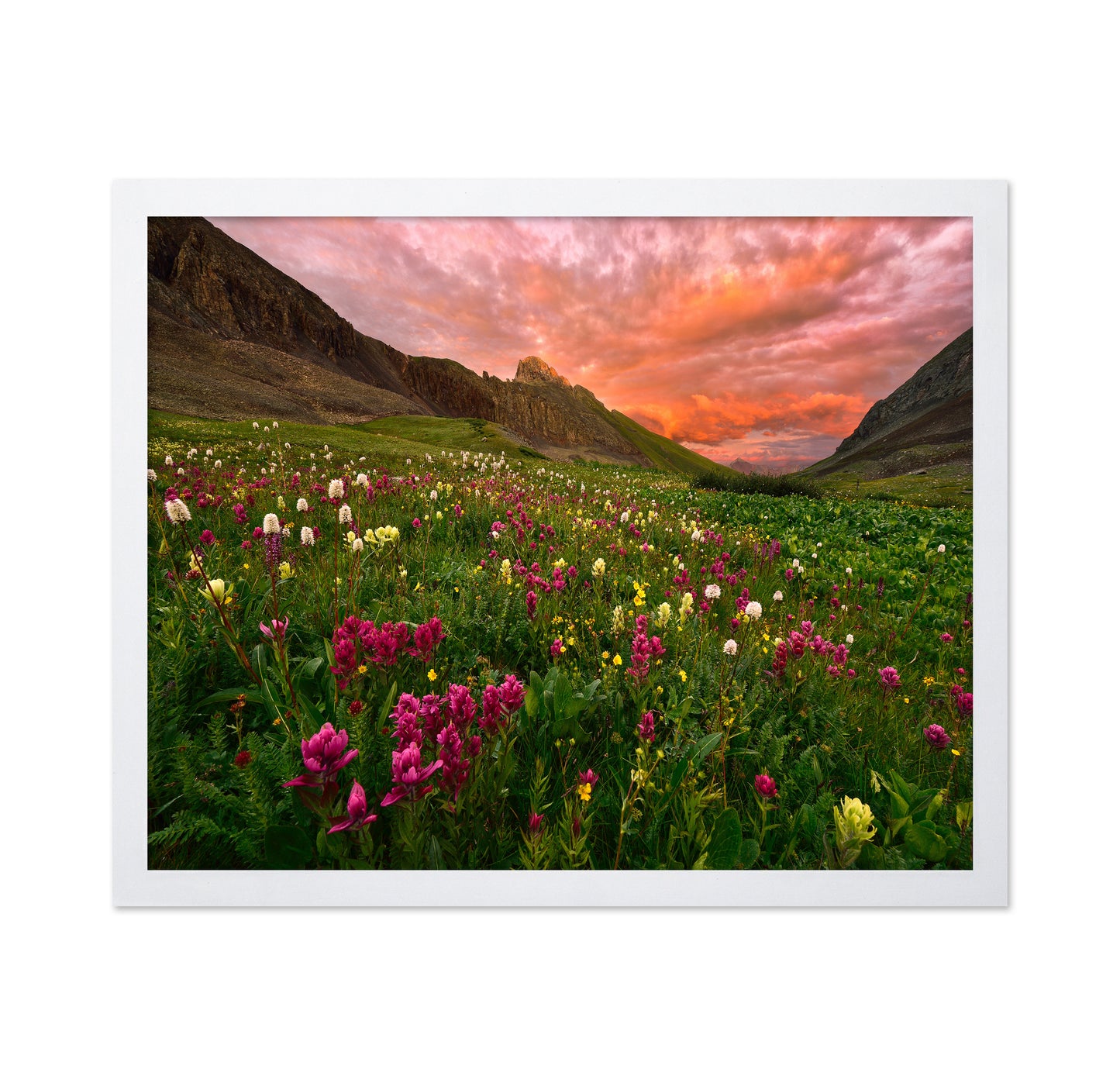 Wildflower Meadow at Sunset